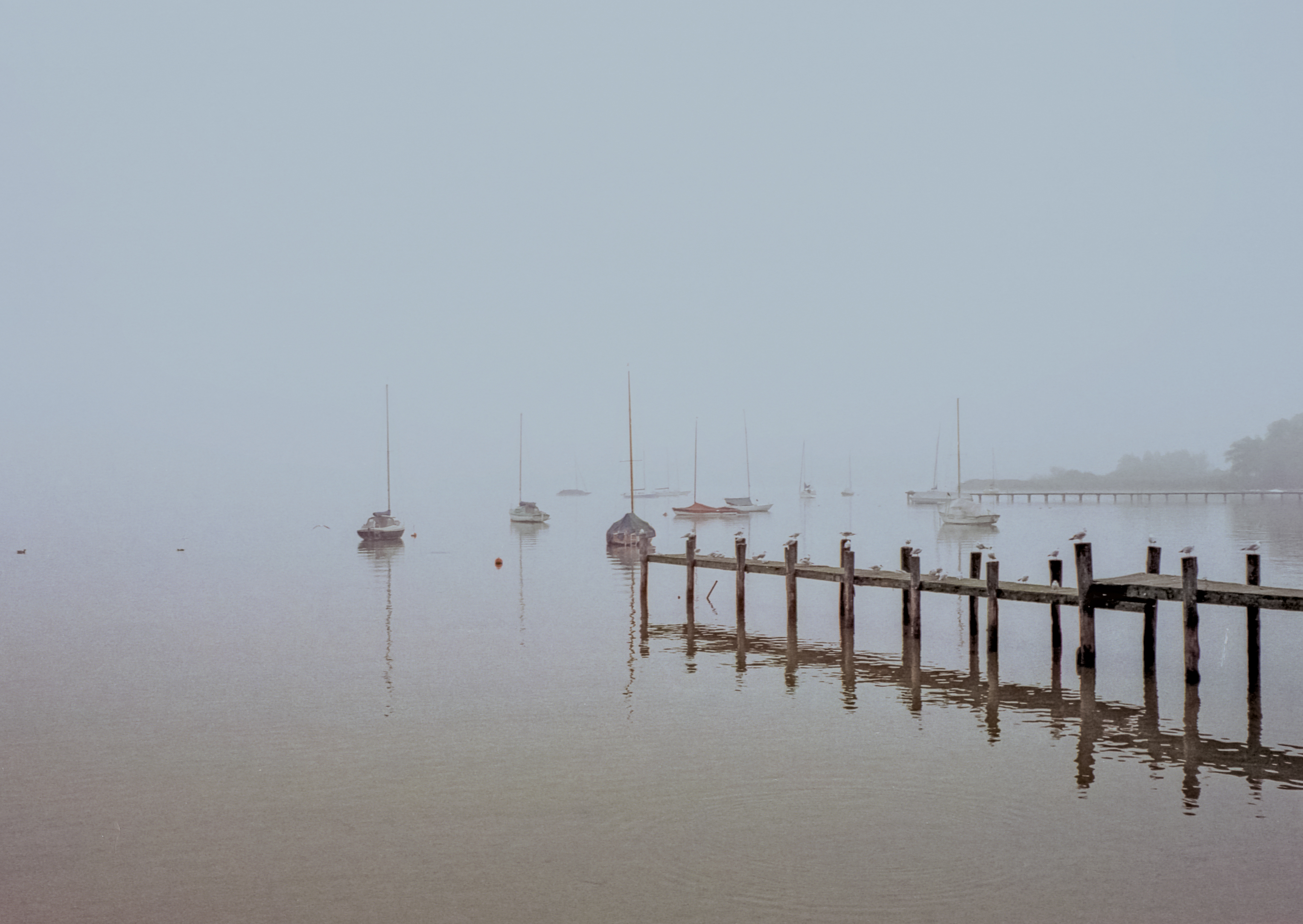 Nebel am Ammersee
