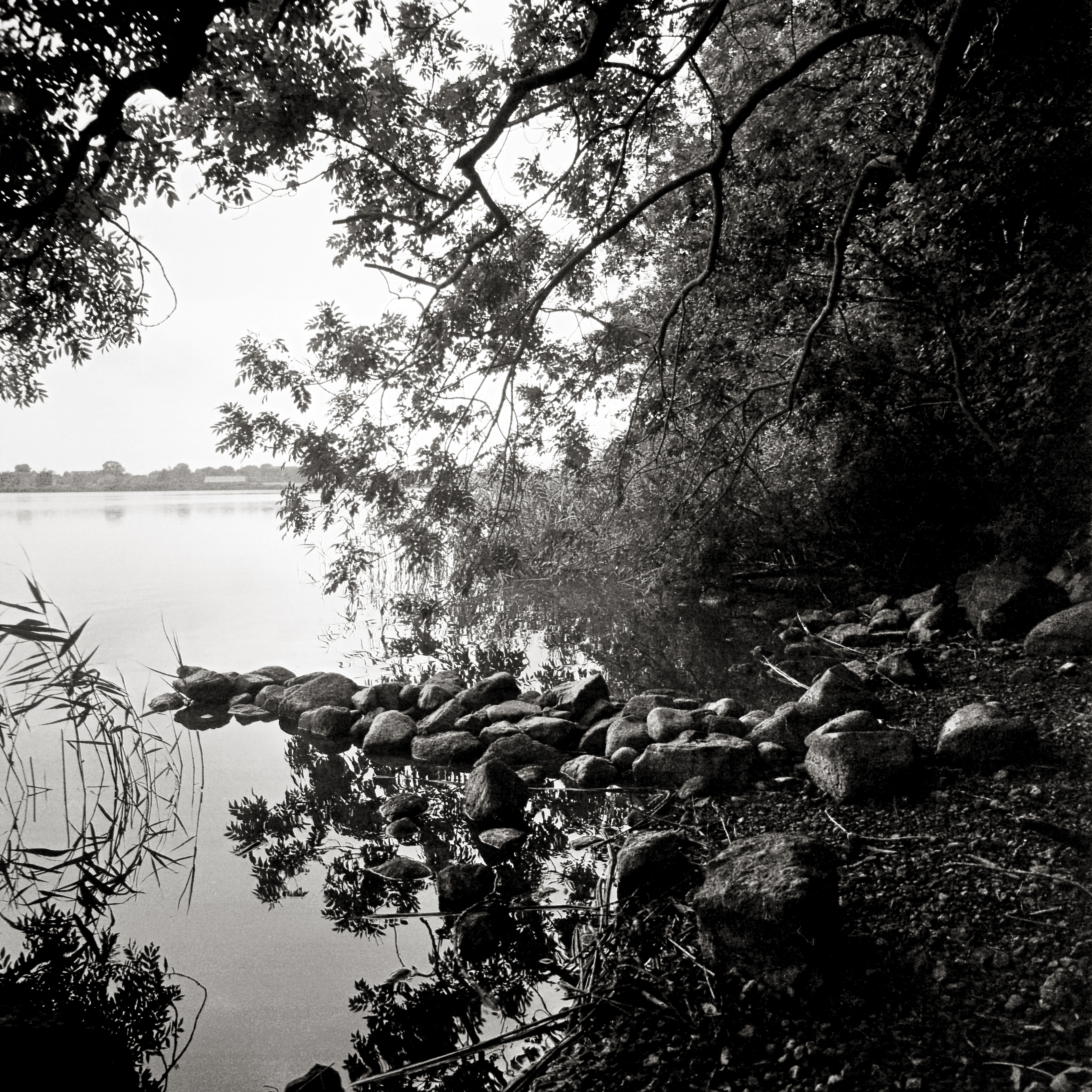 Steine am Ufer des Bothkamper Sees