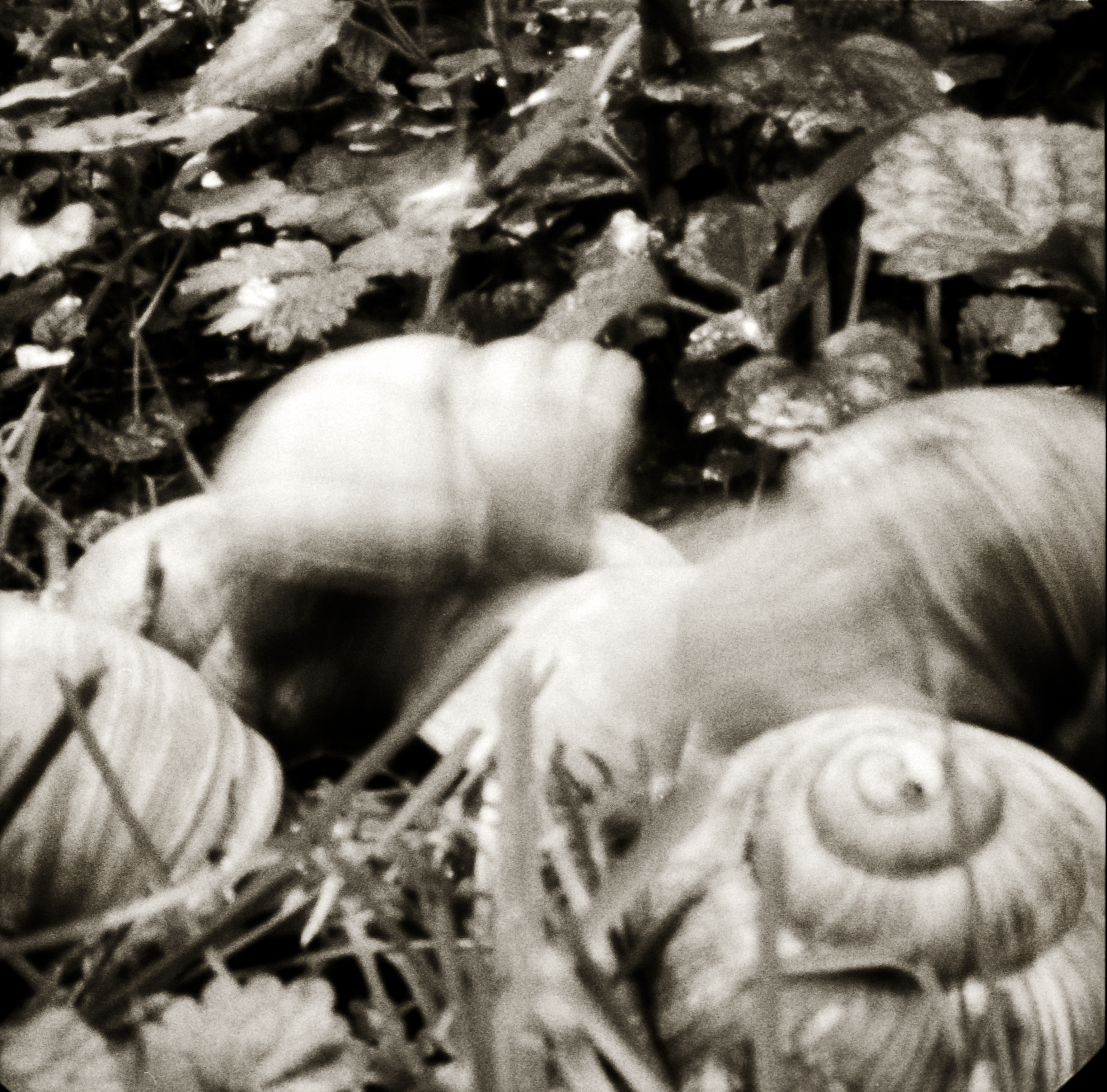 Und sie bewegt sich doch II