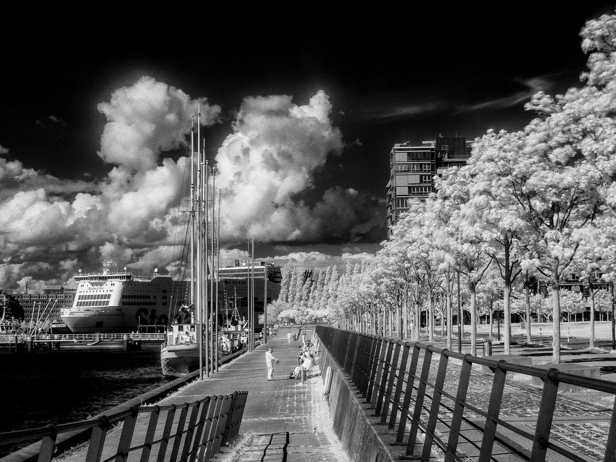 Sommernachmittag an der Kieler Hörn