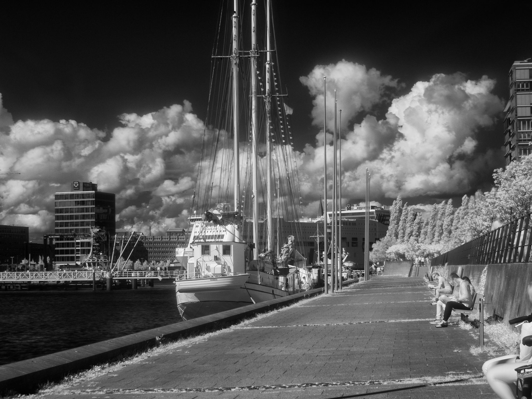 Infrarot an der Förde