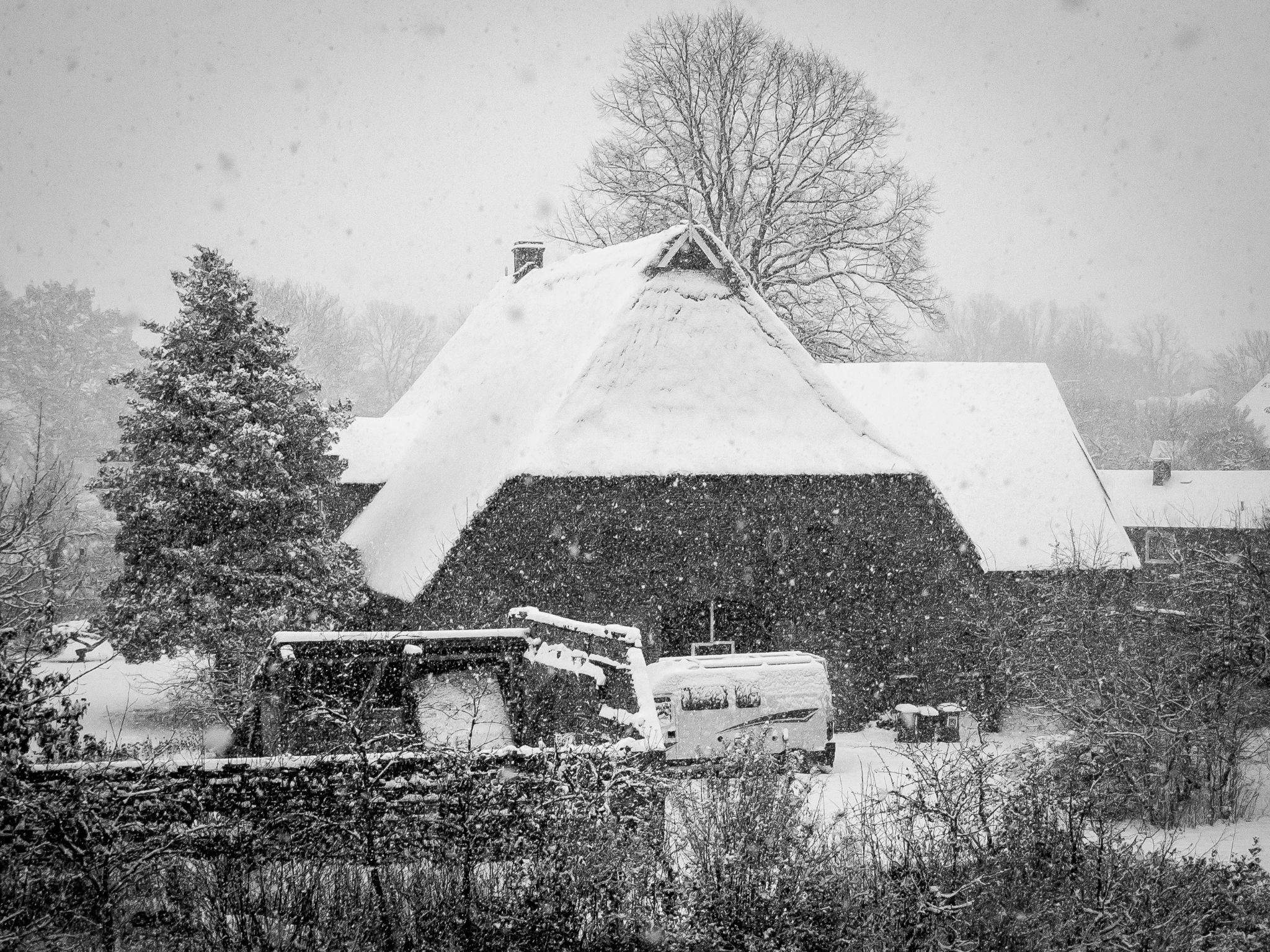 Reetdachhaus in unserer Straße