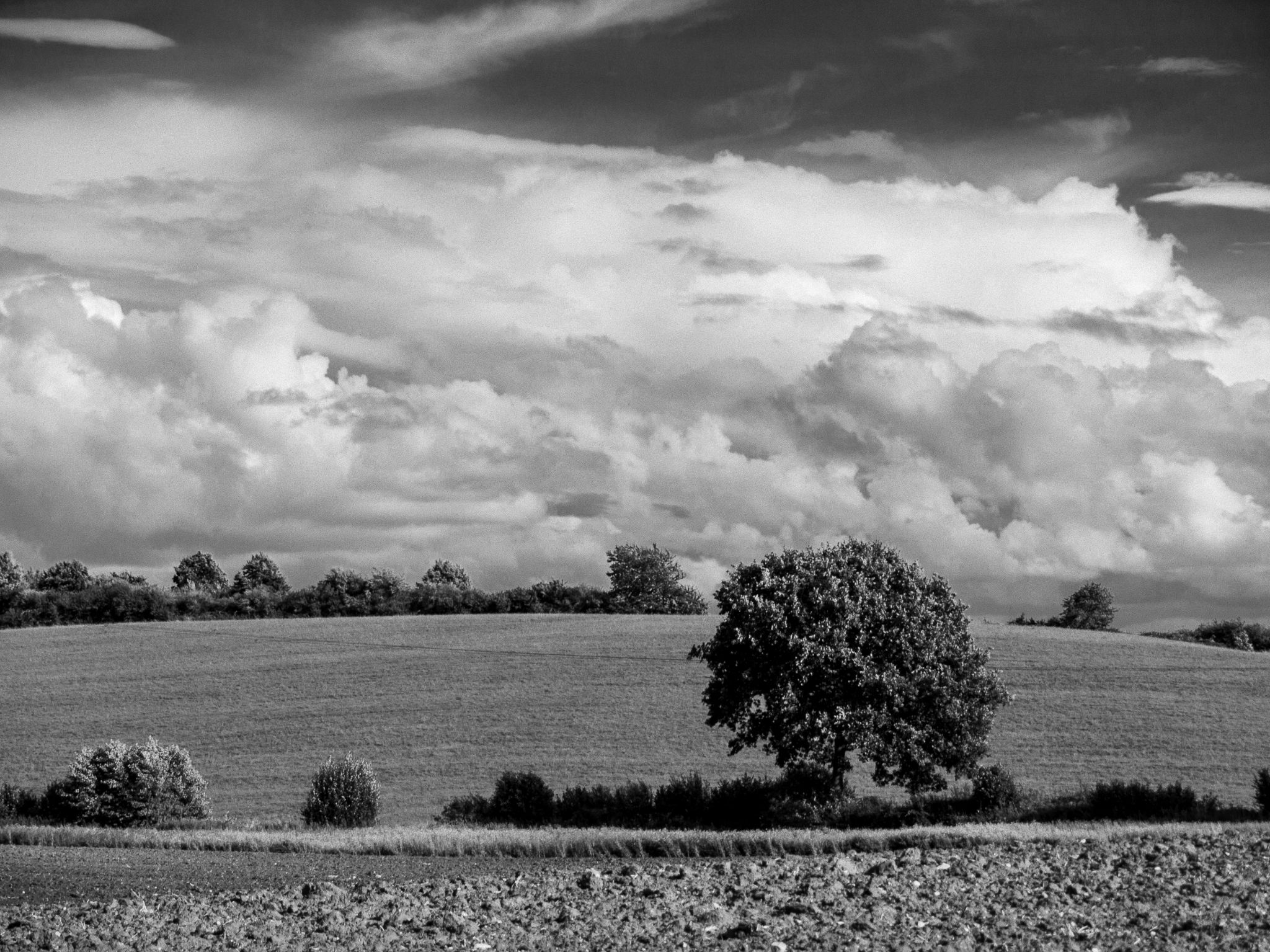 Landschaft unter Wolken