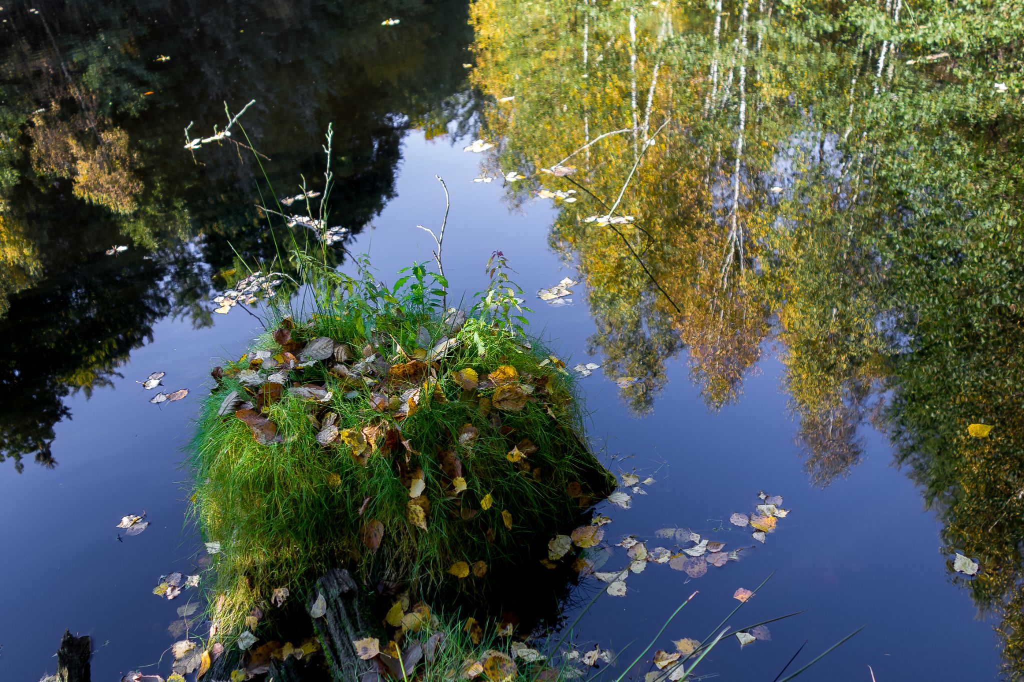 Spiegelungen und kleine Insel