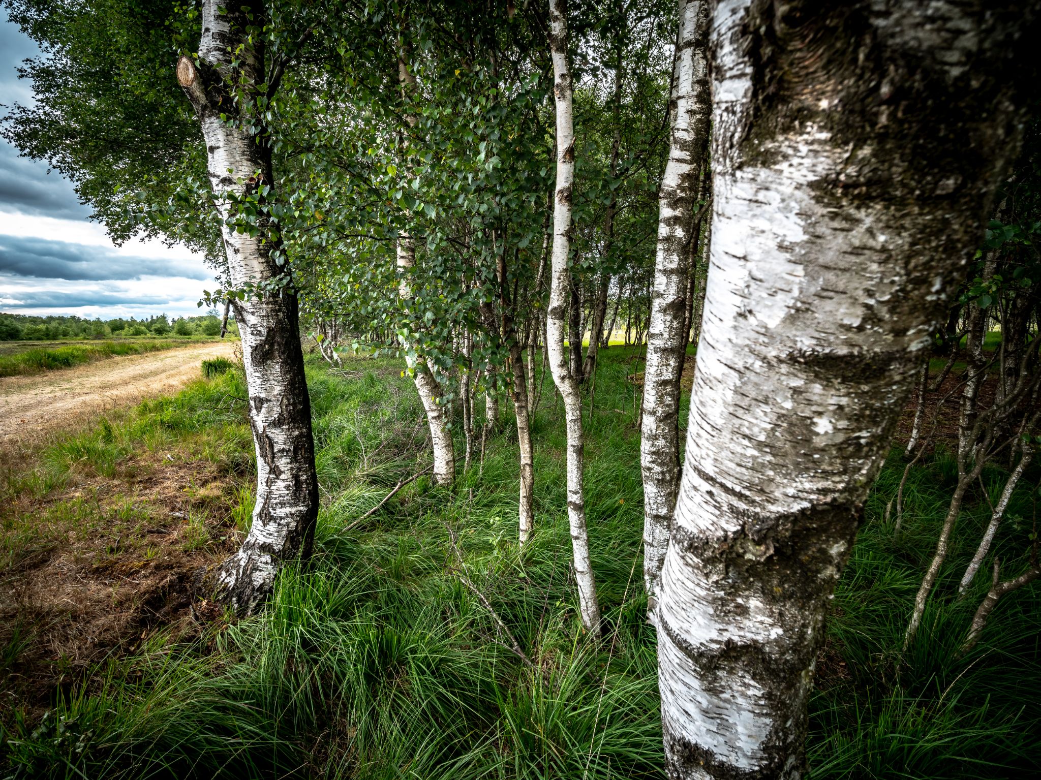 Immer wieder gerne...