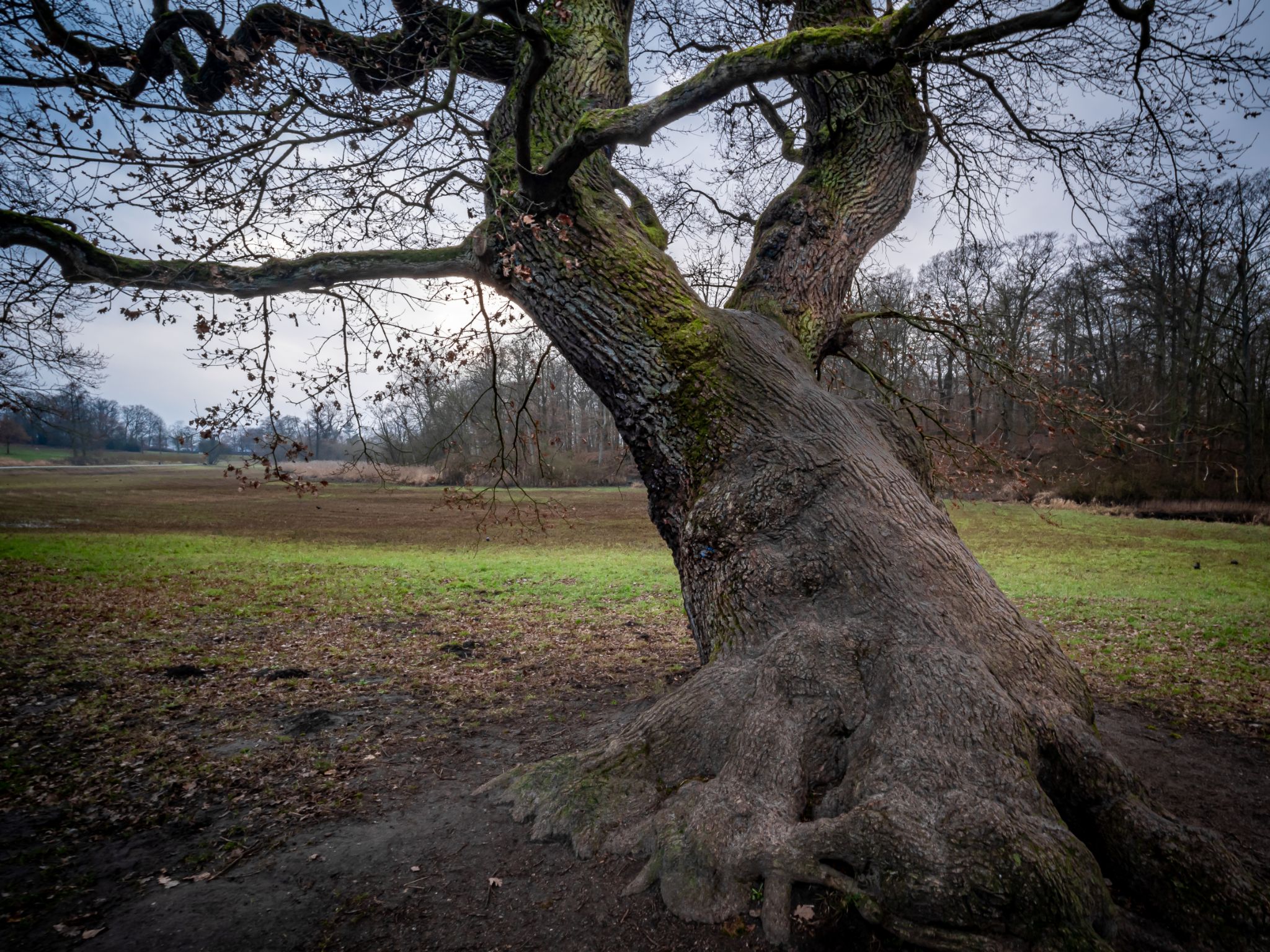 Jenischpark Hamburg II