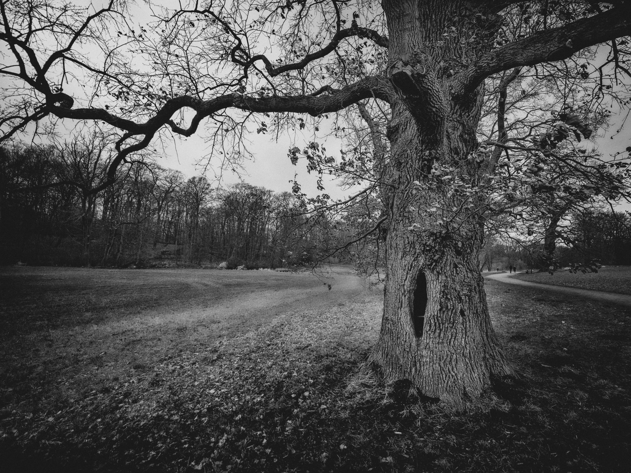 Jenischpark Hamburg III