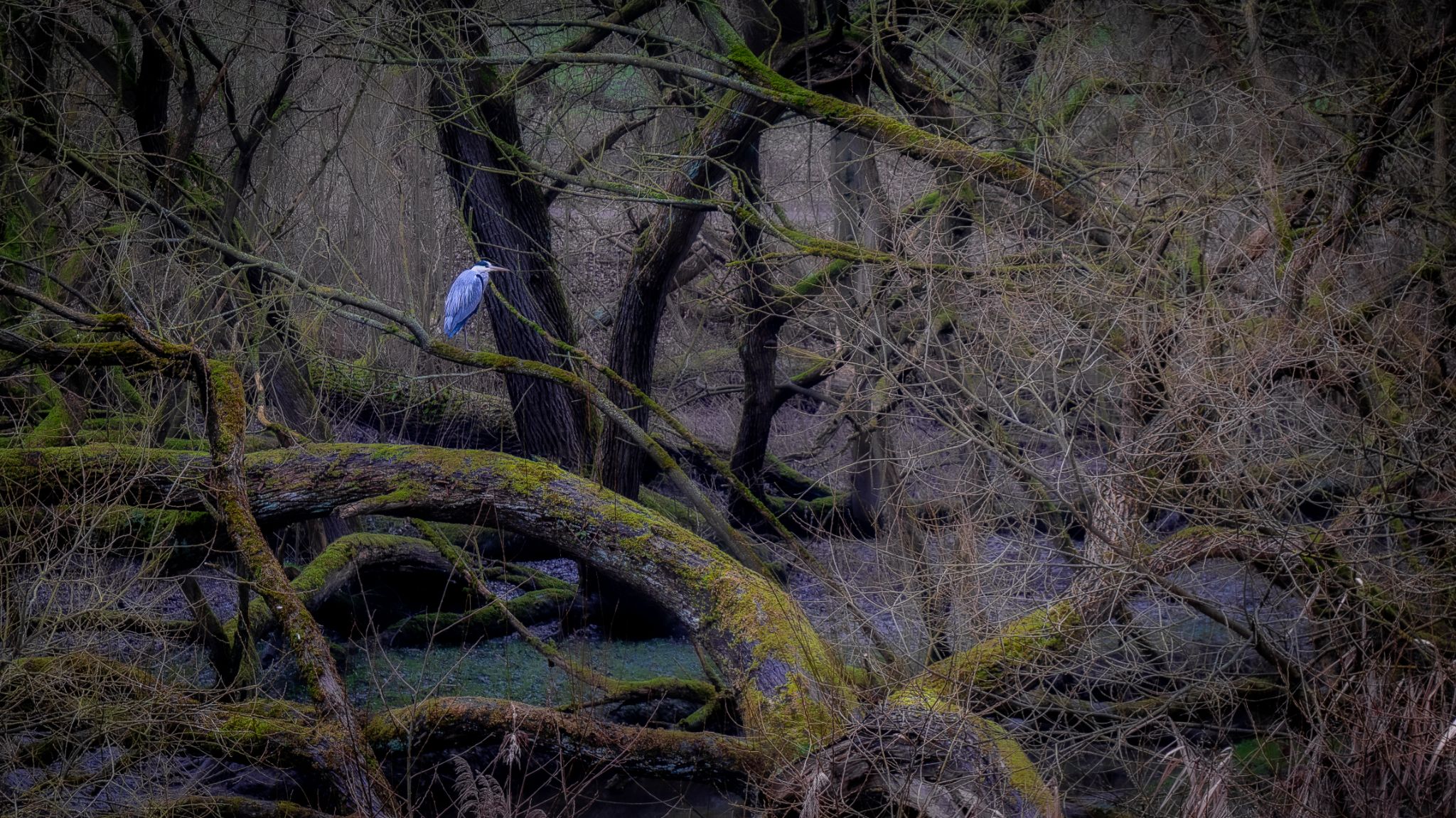 Jenischpark Hamburg IV