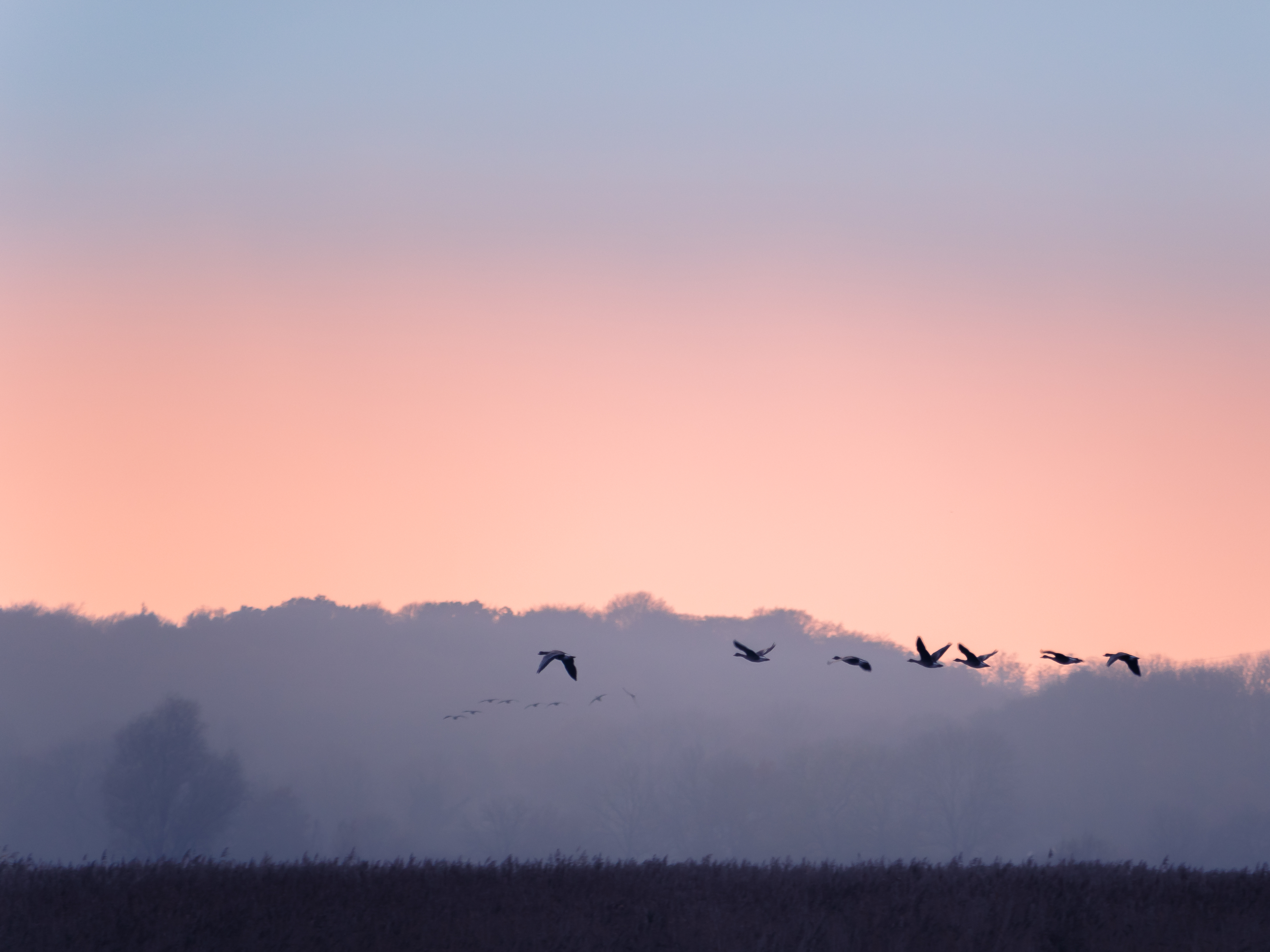 November in der Howachter Bucht