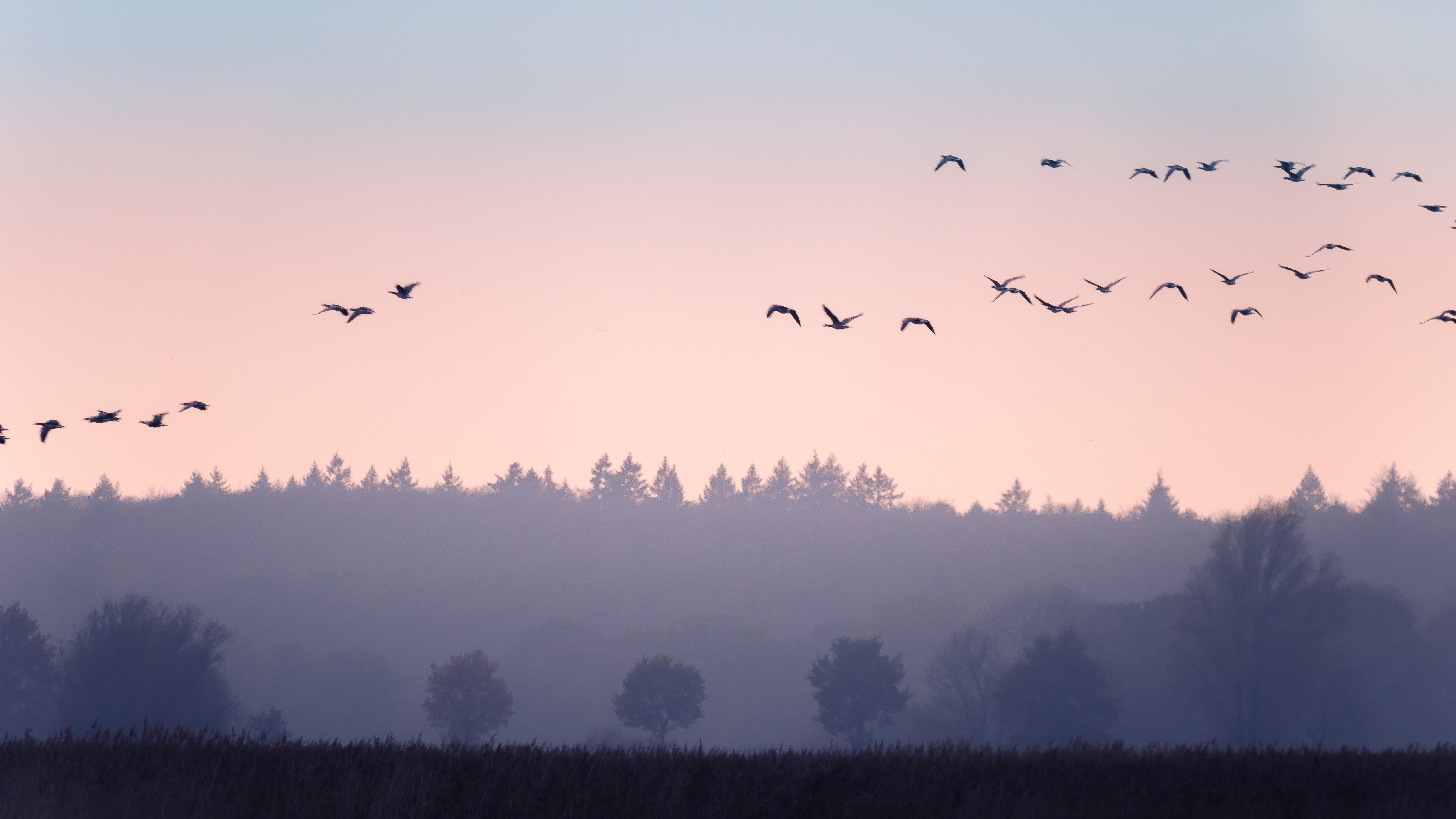 November in der Howachter Bucht