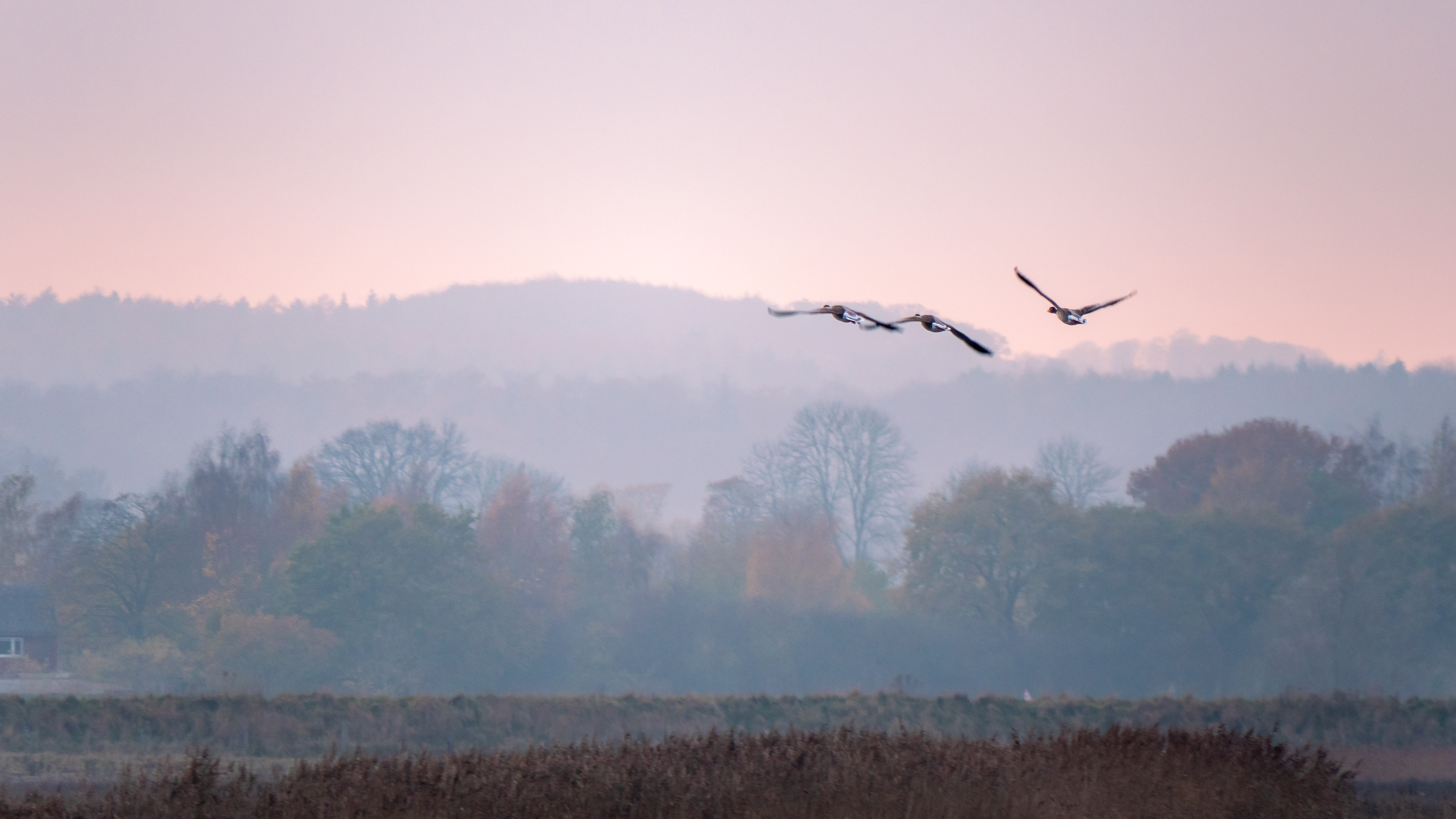 November in der Howachter Bucht