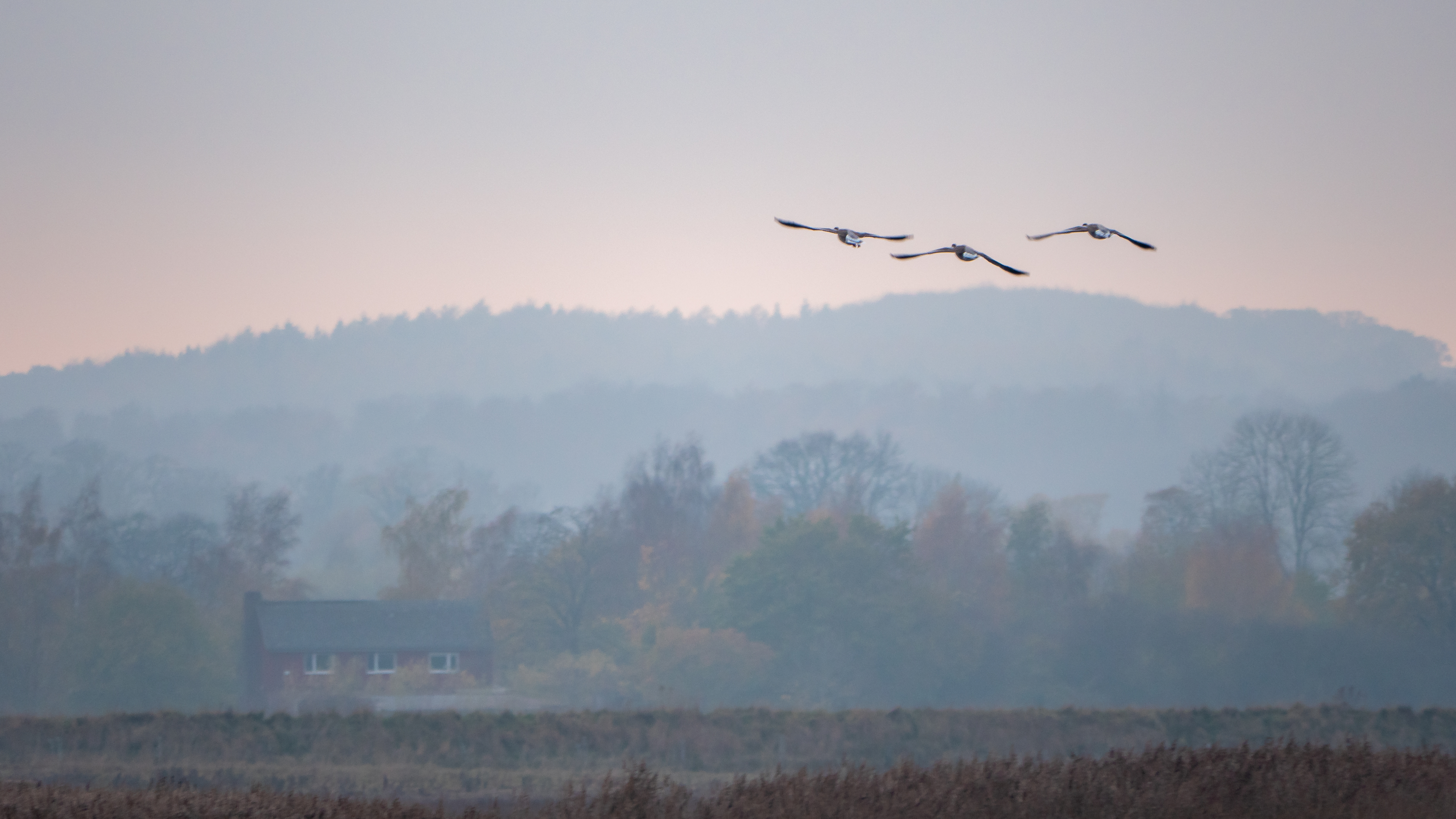 November in der Howachter Bucht