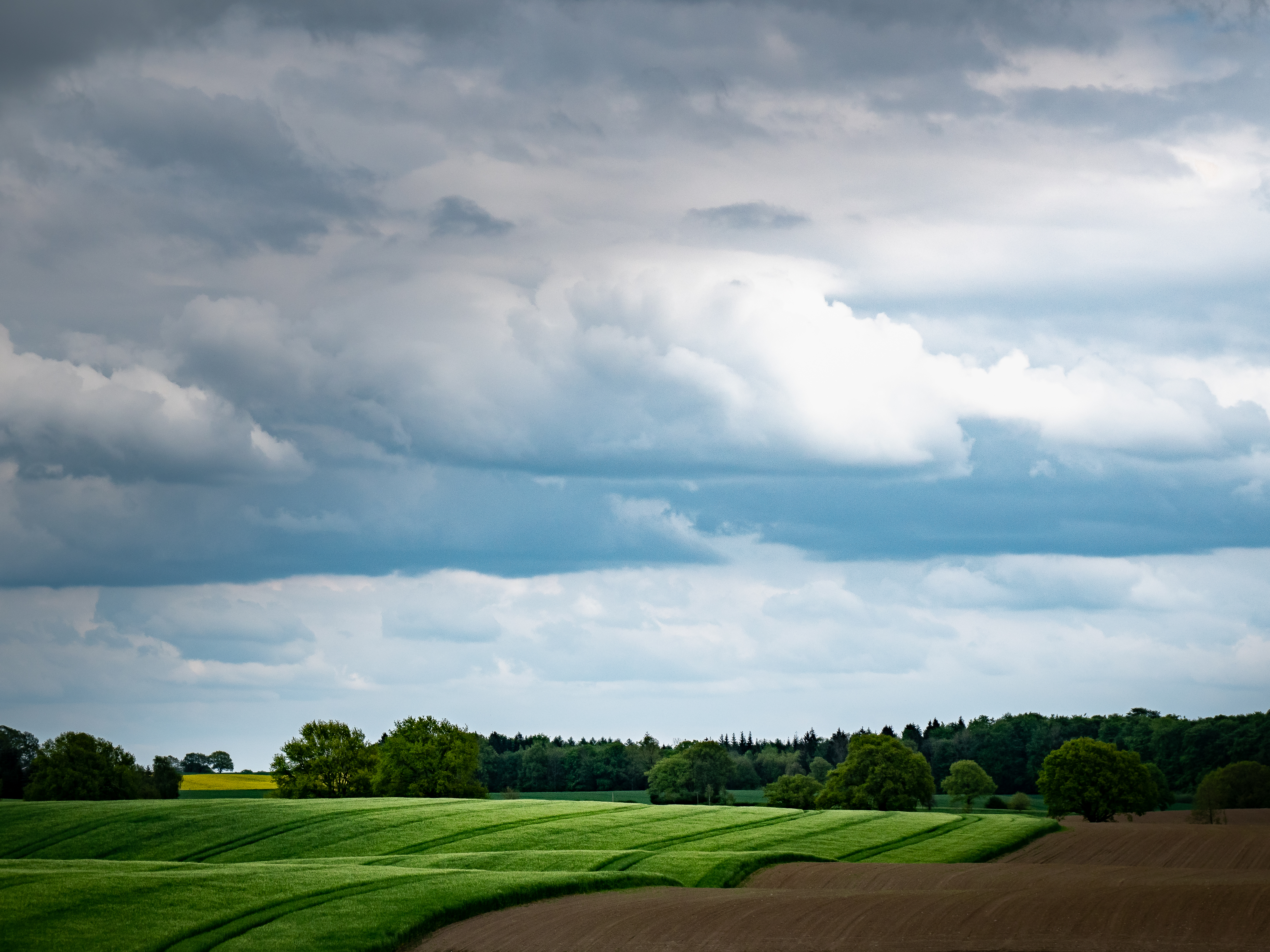 Schön gekämmte Landschaft
