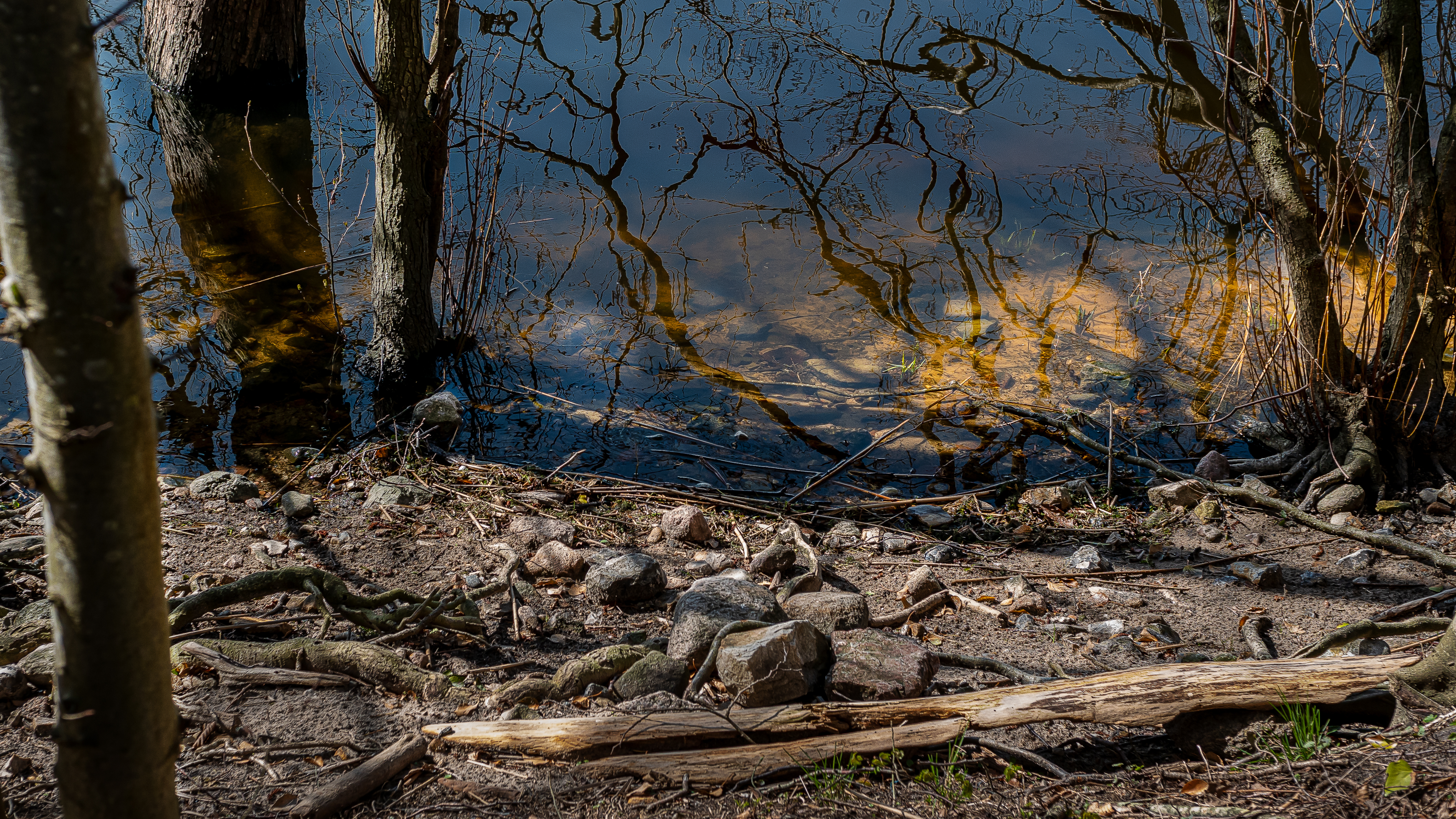 Am Ufer des Bothkamper Sees IV