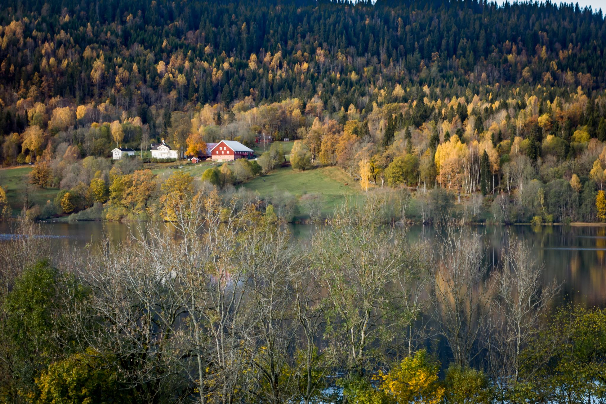 Herbstlandschaft an unbekanntem See