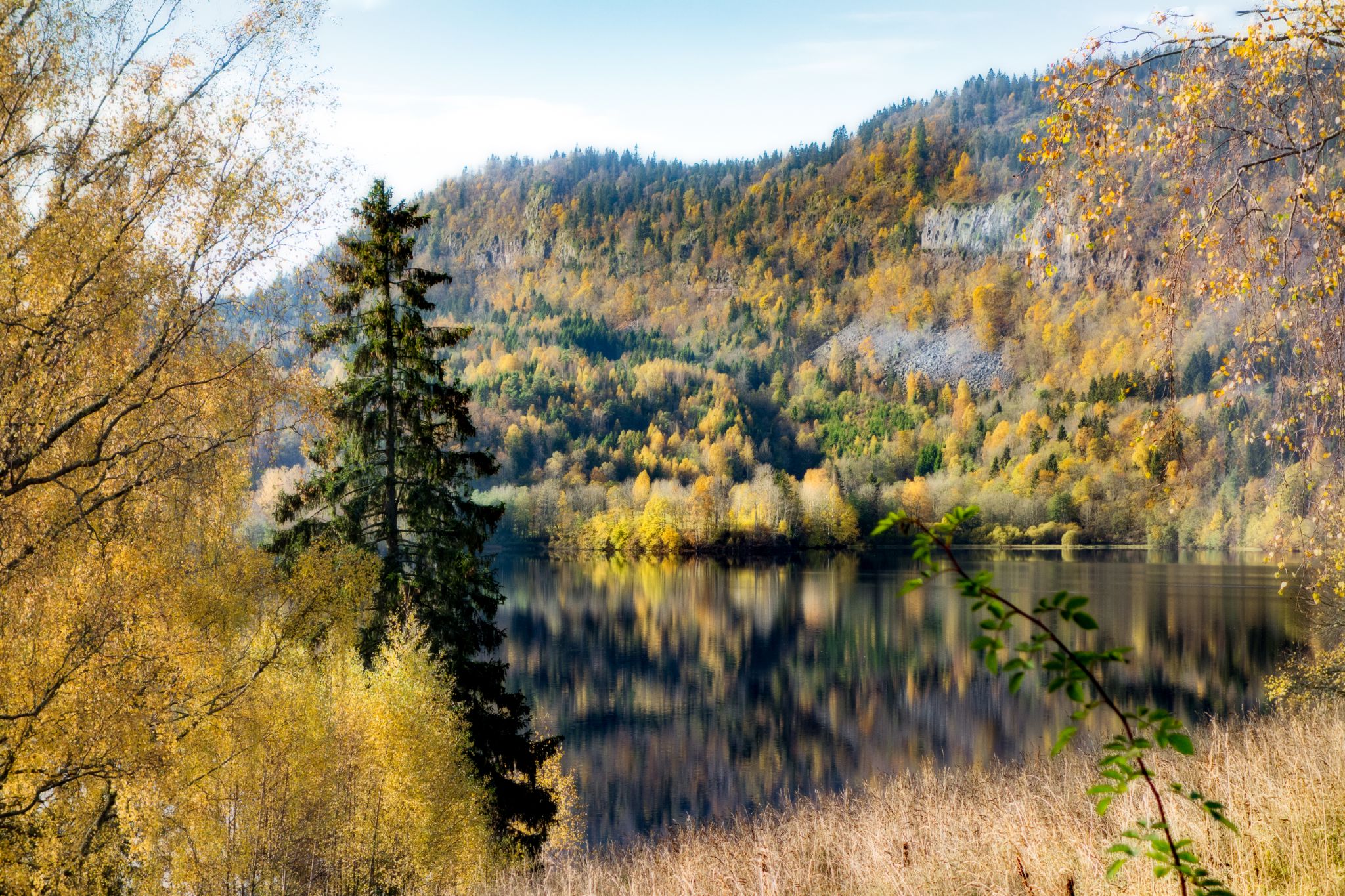 Herbstlandschaft an unbekanntem See II
