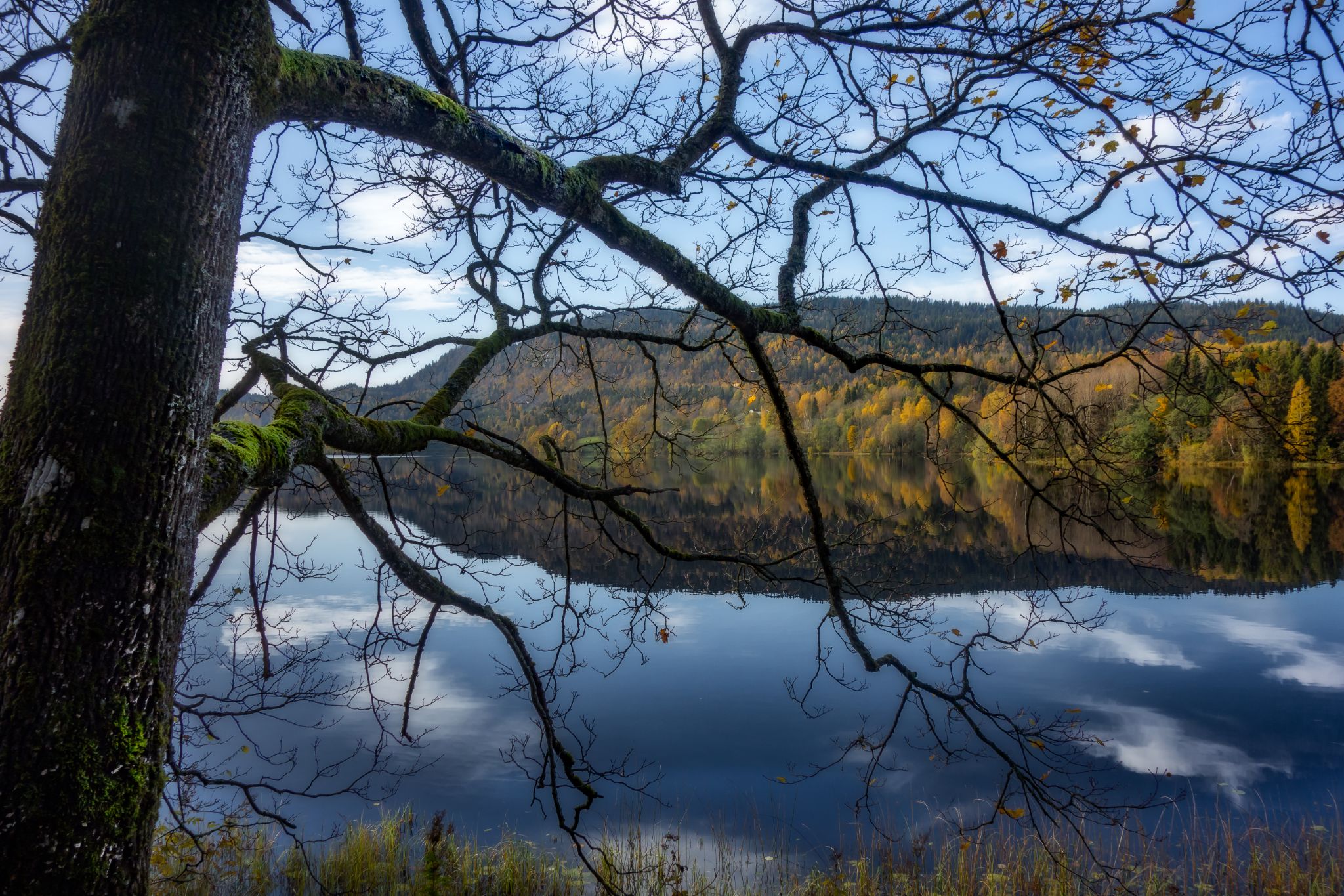 Herbstlandschaft an unbekanntem See III