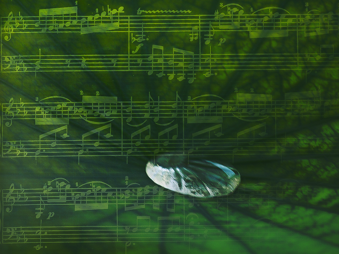 Wassertropfen auf Lotosblatt, mit Noten