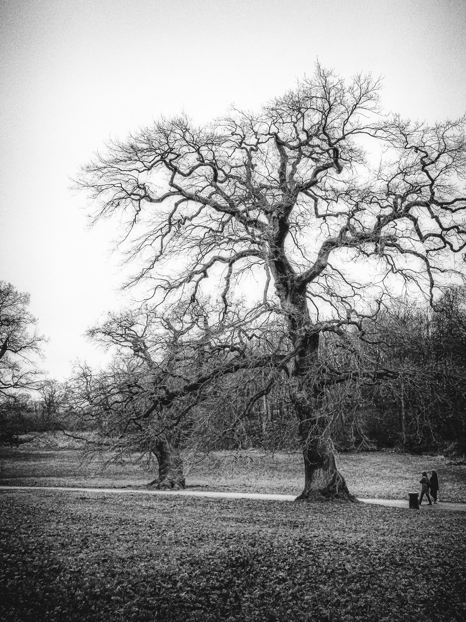 Zwischen den Jahren II