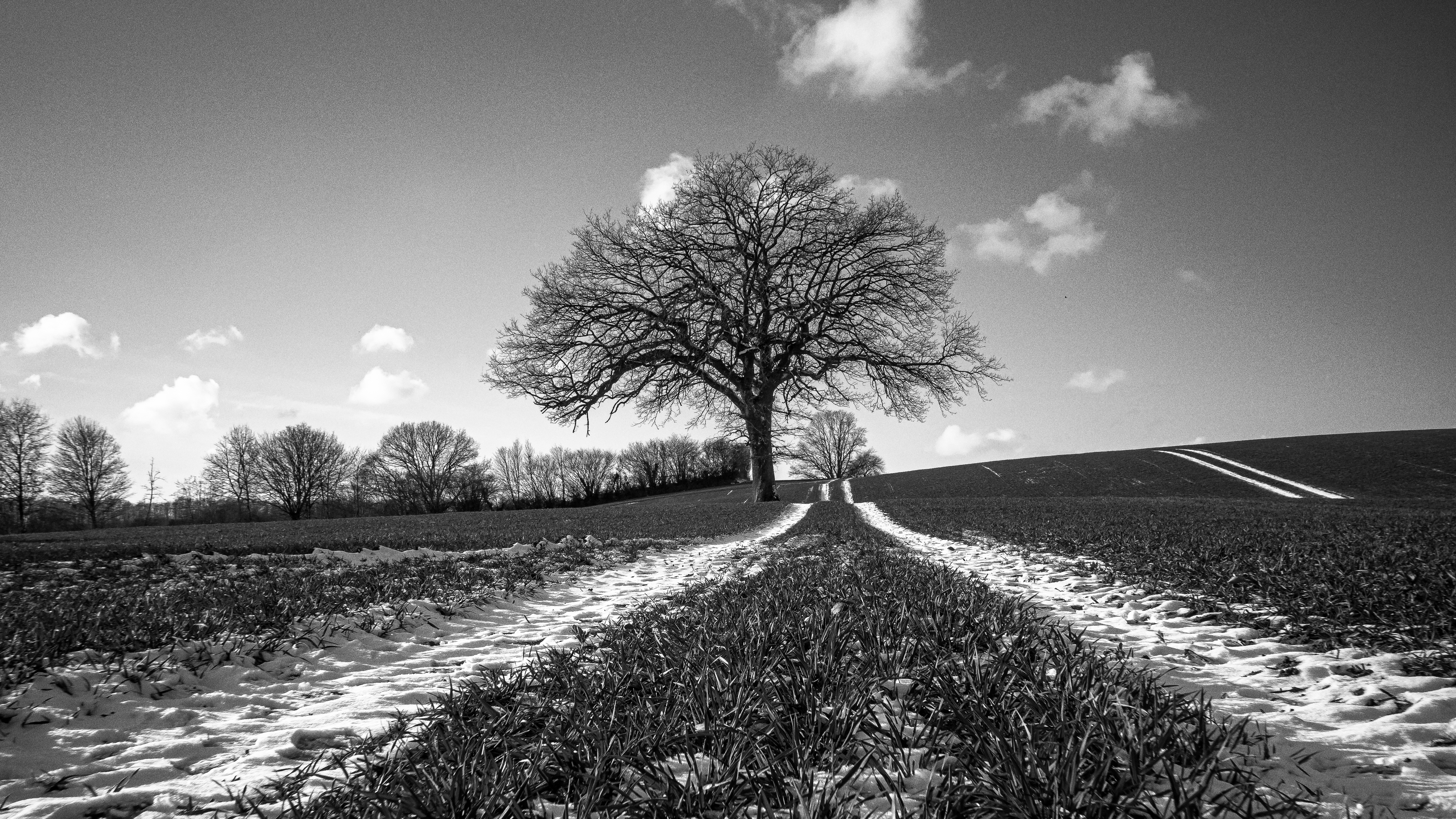 Traktorspur im Feld mit Schnee