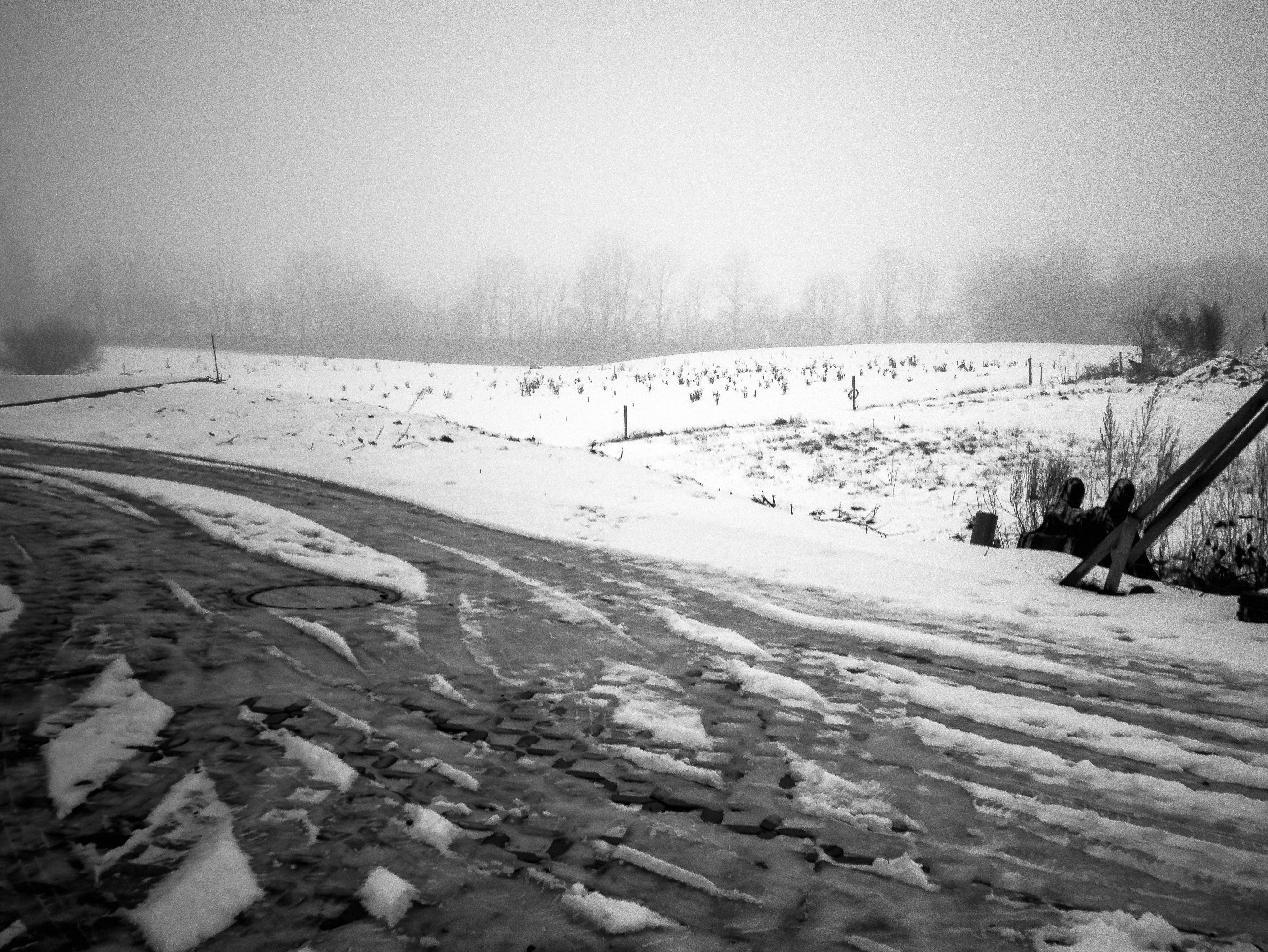 nebliger Tag im Februar